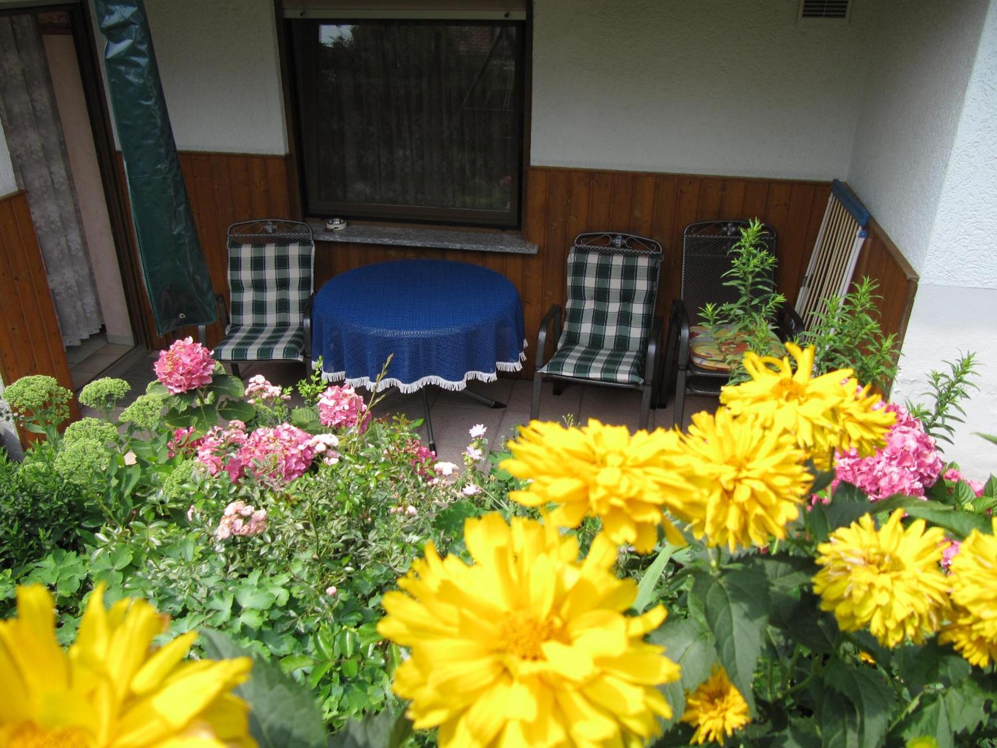 Abendstille Am Obstgarten Mit Terrasse Apartment *